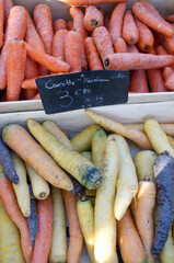 carrots on market