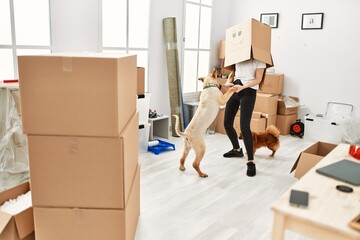 Fototapeta premium Young hispanic woman wearing funny cardboard on head playing with dogs at new home