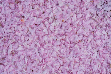 pink texture