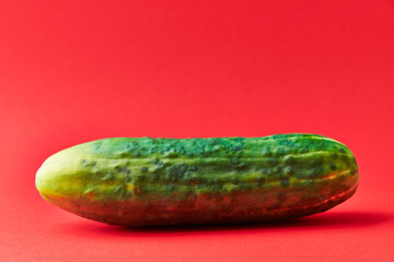  Single cucumber on a red background