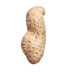  Single peanut with shell isolated on a white background