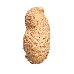  Single peanut with shell isolated on a white background