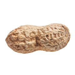  Single peanut with shell isolated on a white background
