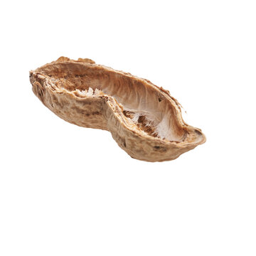  Middle peanut shell isolated on a white background
