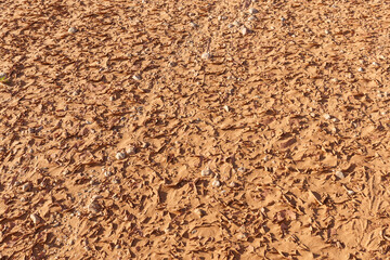 dry cracked land in the desert, Sahara Desert