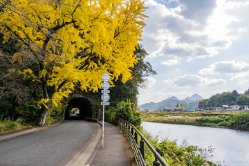 耶馬渓 - 青の洞門 - 競秀峰