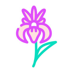 iris flower color icon vector. iris flower sign. isolated symbol illustration