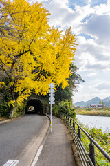 耶馬渓 - 青の洞門 - 競秀峰