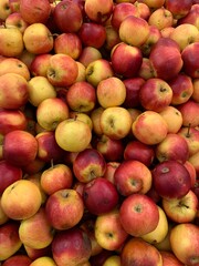 lots of ripe sweet apples for food as a background