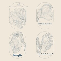Wedding logo, Botanical rustic trendy tropical Amaryllis lily flowers illustration. Floral logo design. Badges, emblems, logotypes for organic cosmetics, florist, photography logos.