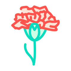 carnation flower color icon vector. carnation flower sign. isolated symbol illustration