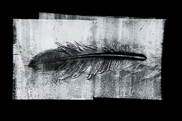 a feather printed on paper - graphic imprint
