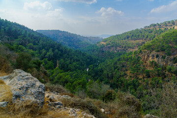 Landscape of the Forest of the Martyrs (Yaar HaKdoshim)