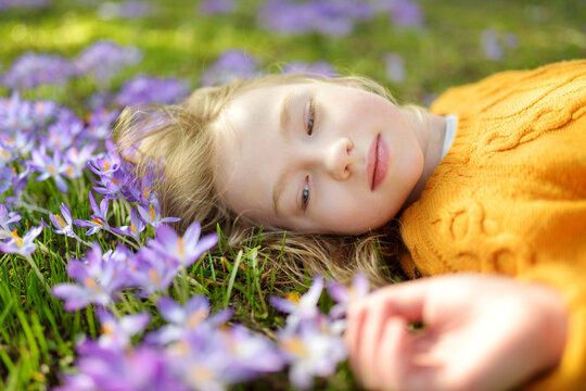 Cute young girl admiring beautiful purple crocus flowers on sunny spring day. Child and first flowers of spring, nature and fun.
