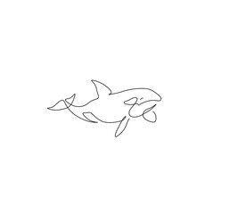 Vector isolated killer whale dolphin orca contour line drawing. Colorless black line outline minimal sketch. Single line art dolphin, killer whale  © MariMuz