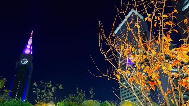 東京都新宿区の繁華街でライトアップされた紅葉の景色