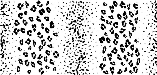 Leopard seamless black and white pattern. Leopard pattern design. Seamless ocelot pattern for wallpaper, wrapping pape, textile.