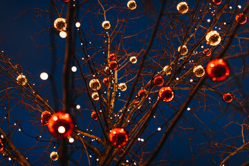 Gold and red festive Christmas balls hanging on the branches of a tree against a blue evening sky. Winter holiday background