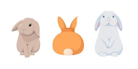 A set of cute rabbits on a white background.
