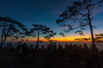 Image of sunrise on orange and yellow horizon with people's silhouette surrounded by pine.
