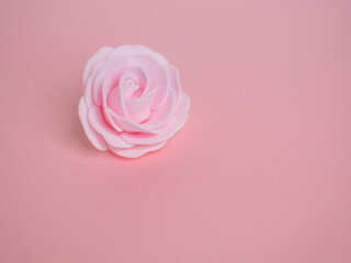 Rose sur fond rose - délicatesse, féminité et amour