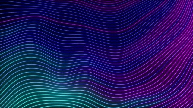 Wavy neon lines pattern seamless animation on black background. Loop motion graphics of abstract blue magenta vector curve. Minimalist technology background concept