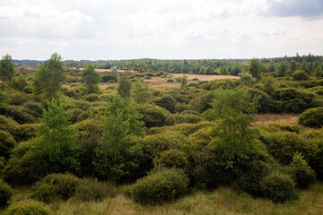 Obraz premium Area with spring of brook Amerdiep, shot from watchtower; Drenthe, Netherlands