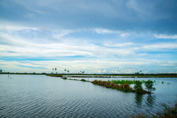 Beautiful backwaters  photography  evening time, Kerala backwaters landscape photography, Kerala backwaters photography during day time Kadamakkudy Kerala