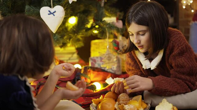 Two little girls eating mandarines under Christmas tree in lights