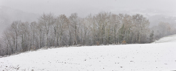 Naklejka premium Winterliche Landschaft mit Schnee in Frankreich