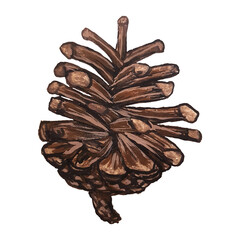 Pine cone, isolated on white background, stock illustration painted in gouache and watercolor, for...