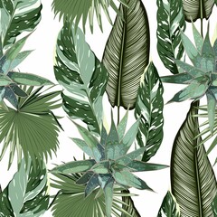 Floral seamless pattern, tropical  plants and leaves, exotic fan palm on white background.