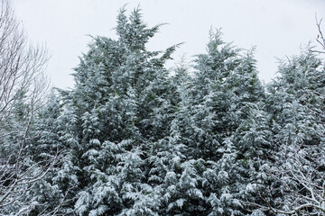 Winterliche Landschaft mit Schnee in Frankreich