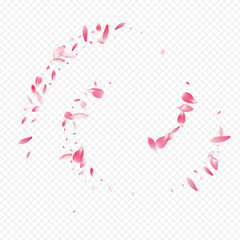Red Floral Vector Transparent Background. Apple