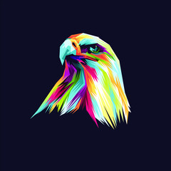 Eagle colorful © Tuye Project