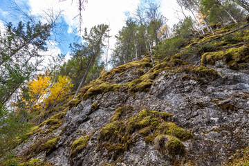 Moss on the rock. Stolby national park in Ural. Forest and a large stone with moss. Ural nature landscape. Olenji ruchji