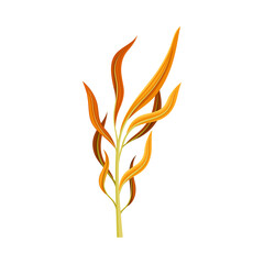 Plant with orange narrow leaves vector illustration on white background