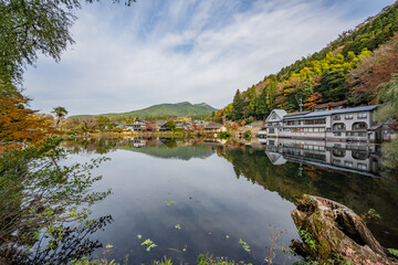 Fototapeta premium 岳本公園