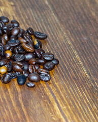 coffee beans lying on the kitchen counter