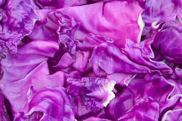 Closeup view of  red purple cabbage