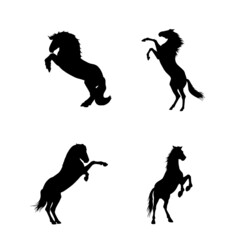 Rearing horses vector silhouette