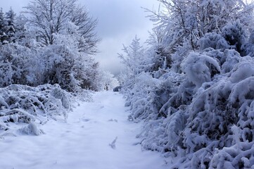 Le Bessat sous la neige