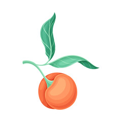 Peach tree branch with ripe juicy fruit and leaves vector illustration