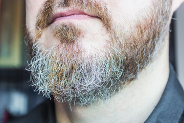 Close up picture of senior man's beard with grey hairs on chin