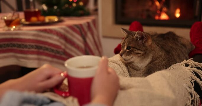 The cat is lying on the woman's legs in front of the fireplace - vacation season, relaxation. Girl is covering herself with blanket while having hot drinking getting warm in her living room.