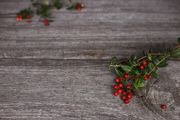fresh berries of lingonberry on an old wooden table