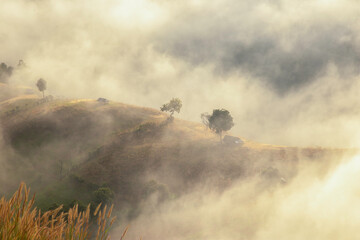 The humidity in the air floated into a mist over the mountains in the morning, looking beautiful.