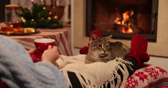 The cat is lying on the woman's legs in front of the fireplace - vacation season, relaxation. Girl is covering herself with blanket while having hot drinking getting warm in her living room.