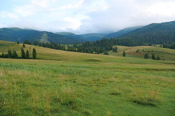 Fototapeta na wymiar Beautiful Carpathian Mountains in Ukraine, Polonina Borzhava mountain ridge