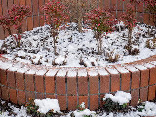 花壇に積もった雪